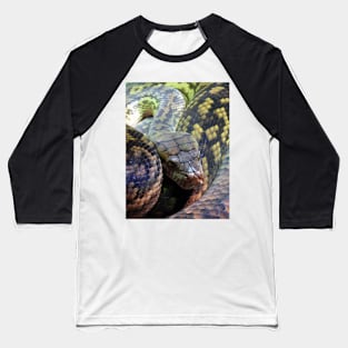 Amethystine Python Baseball T-Shirt